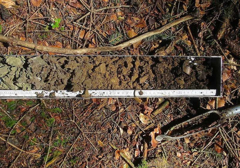 Bodenschutzkonzept Walderschliessung Grünenwald