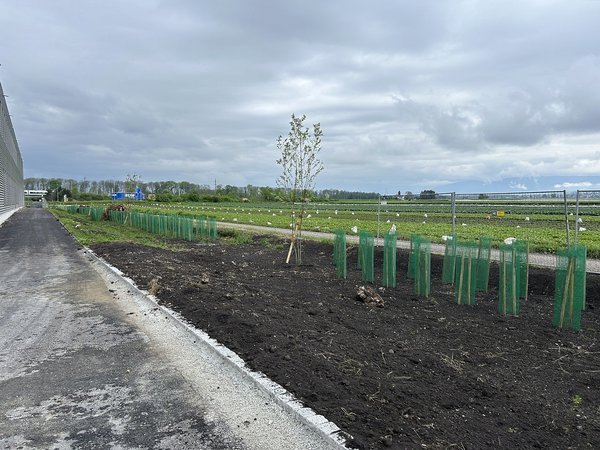Neubau Agrarhandelsplattform Landi Seeland