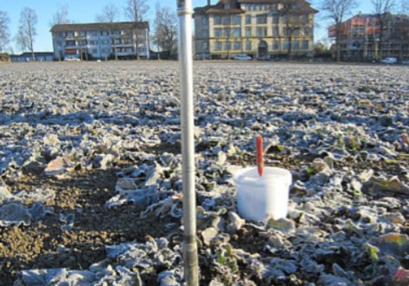 Bodenuntersuchung Viererfeld / Mittelfeld