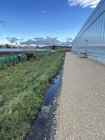 Neubau Blumenbörse Bern