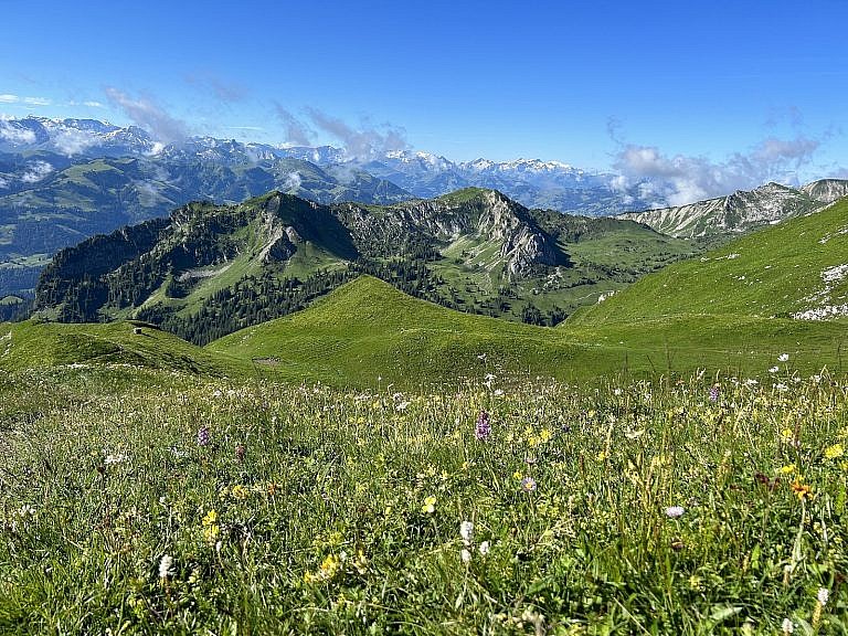 Vegetationsmonitoring Morgeten Solar